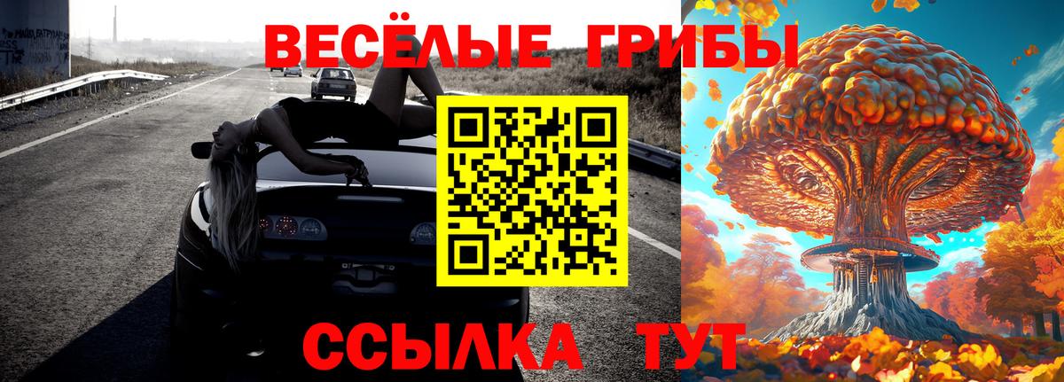 Псилоцибиновые грибы мицелий Таганрог
