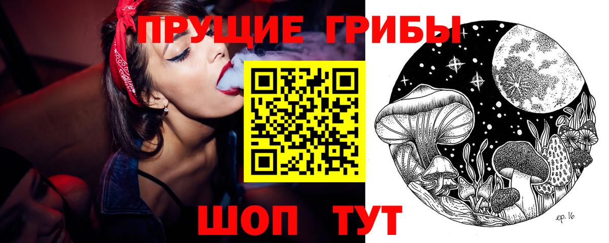Галлюциногенные грибы Cubensis  Вход с VPN  Таганрог 